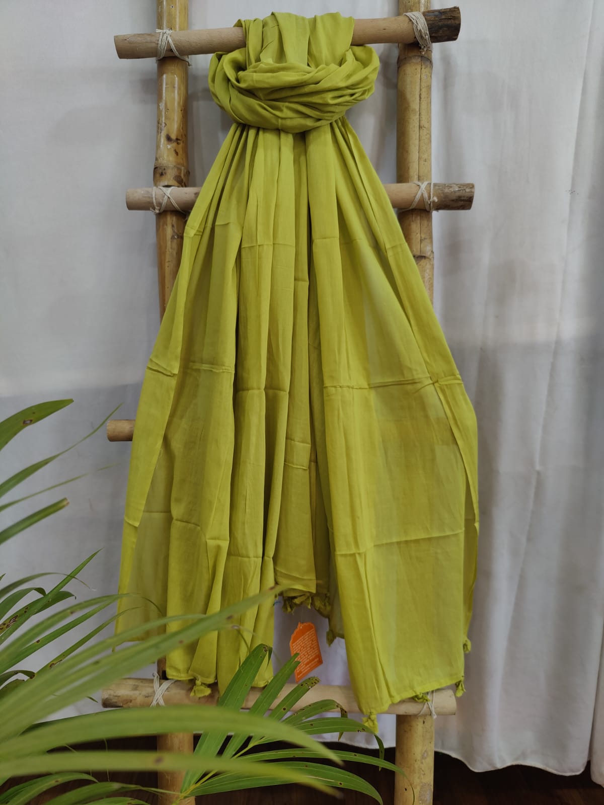 Cotton Dupatta Online - Desi Weaves