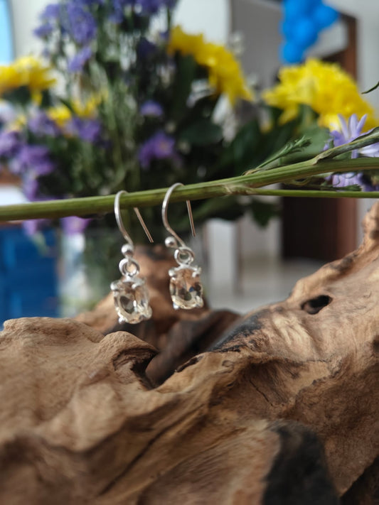 925 Sterling Silver Earring