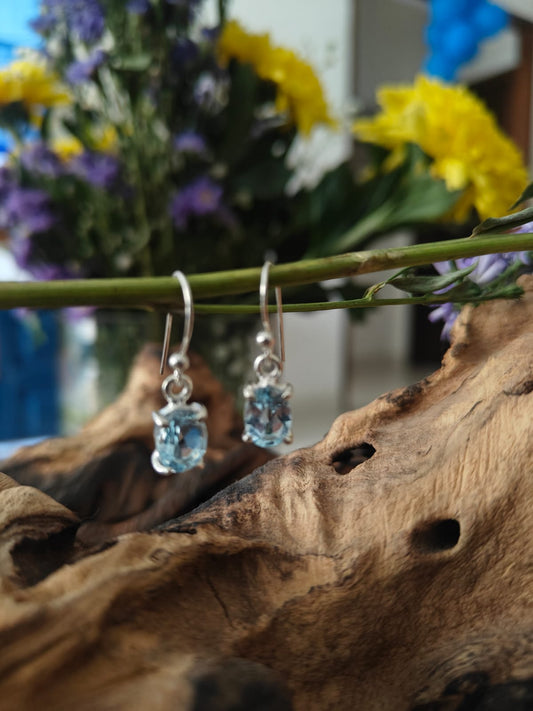 925 Sterling Silver Earring