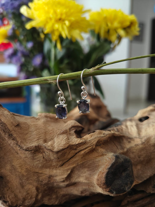 925 Sterling Silver Earring