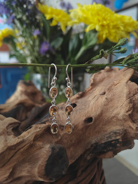 925 Sterling Silver Earring