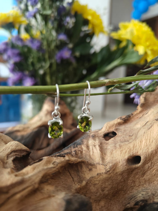925 Sterling Silver Earring