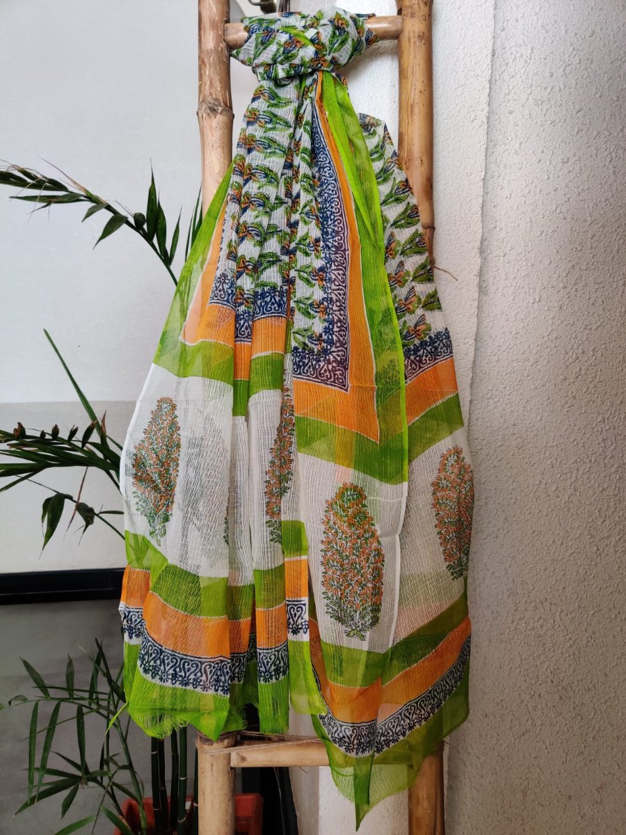 Kashida Handblock Print Cotton Kota Doria Dupatta