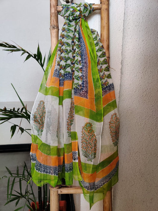 Green block print kota doria dupatta